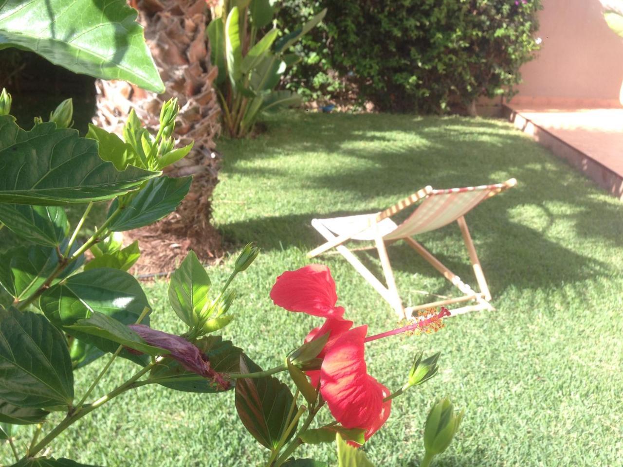 Villa Plage Mirleft Bagian luar foto